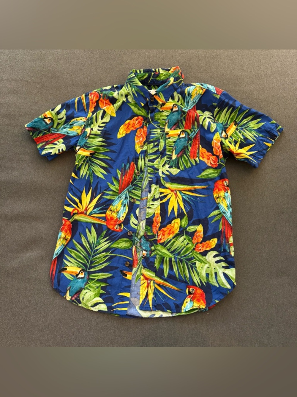 Aeropostale Blue Tropical Parrot Button-Down Shirt